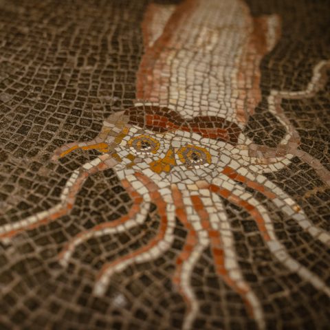 Museo Archeologico del Territorio di Populonia