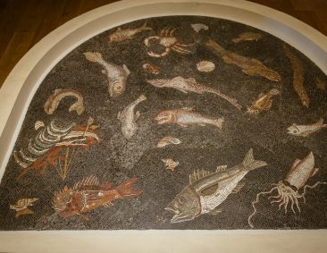 L’archeologia in Toscana è multisensoriale. Visita al Museo Archeologico di Piombino