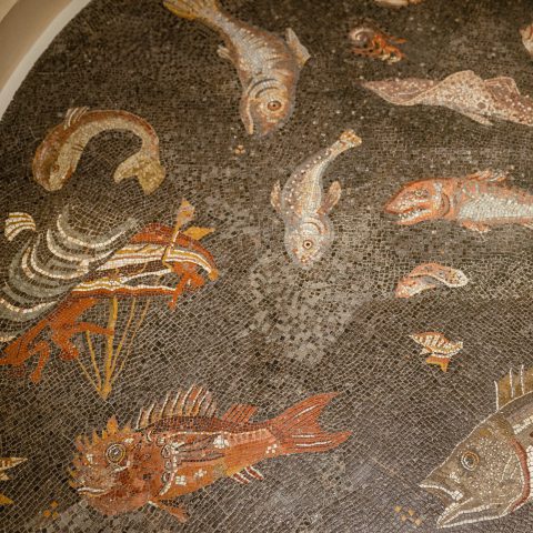 Museo Archeologico del Territorio di Populonia