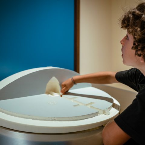 Museo Archeologico del Territorio di Populonia