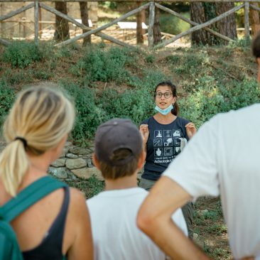 Parco Archeologico della Val di Cornia, Acropoli