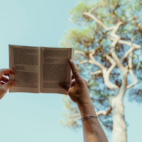 Parco Costiero della Sterpaia