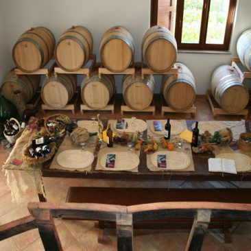 Campiglia M.ma - Cantina Giomi Zannoni