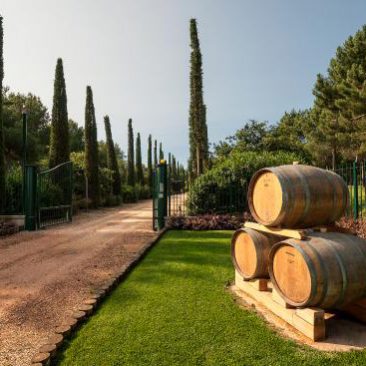 Piombino - Tenuta Poggio Rosso