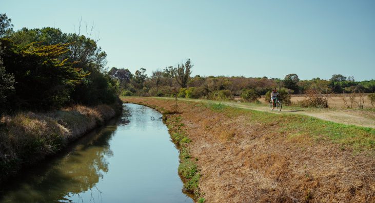 Parco Costiero della Sterpaia