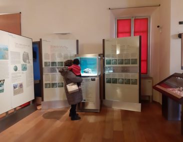 Ponte dell’8 dicembre nei Parchi e Musei della Val di Cornia