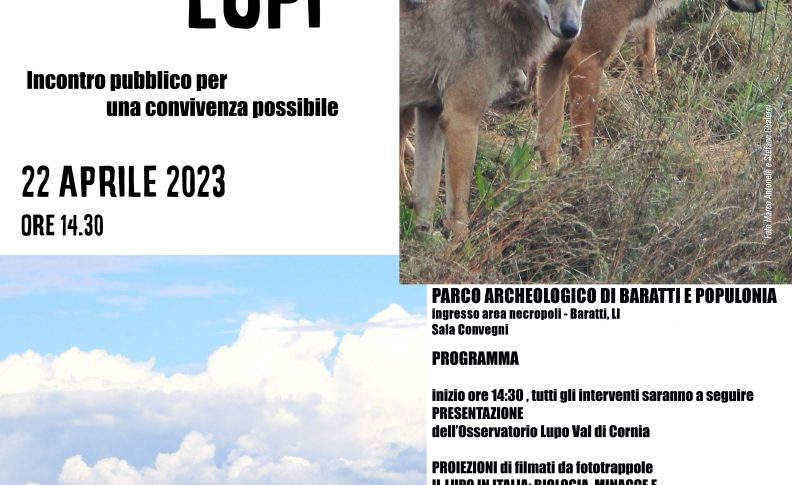 Immagine principale