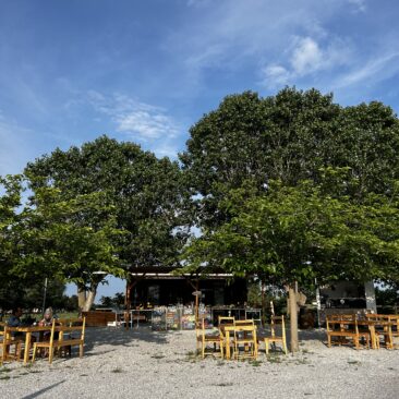 Piombino - Azienda Agricola Daddi Nedo