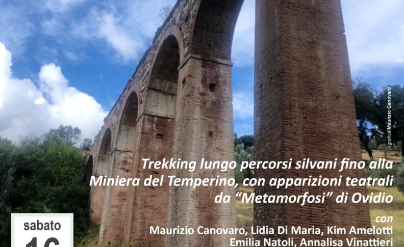Immagine principale