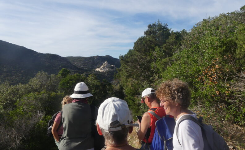 Immagine principale