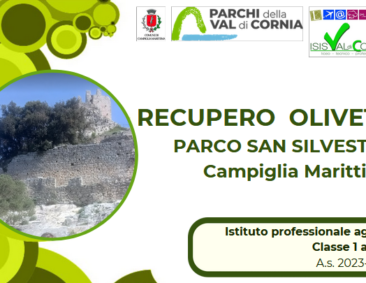 Il progetto di recupero dell’antica oliveta del Parco archeominerario di San Silvestro: i risultati del lavoro svolto nell’A.S. 2023/2024