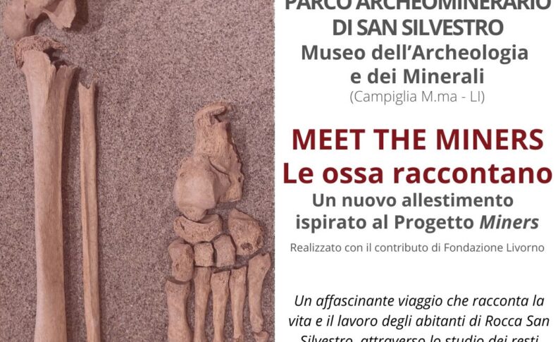 Immagine principale