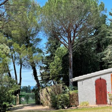 Campiglia M.ma - Agriturismo Podere Campalto